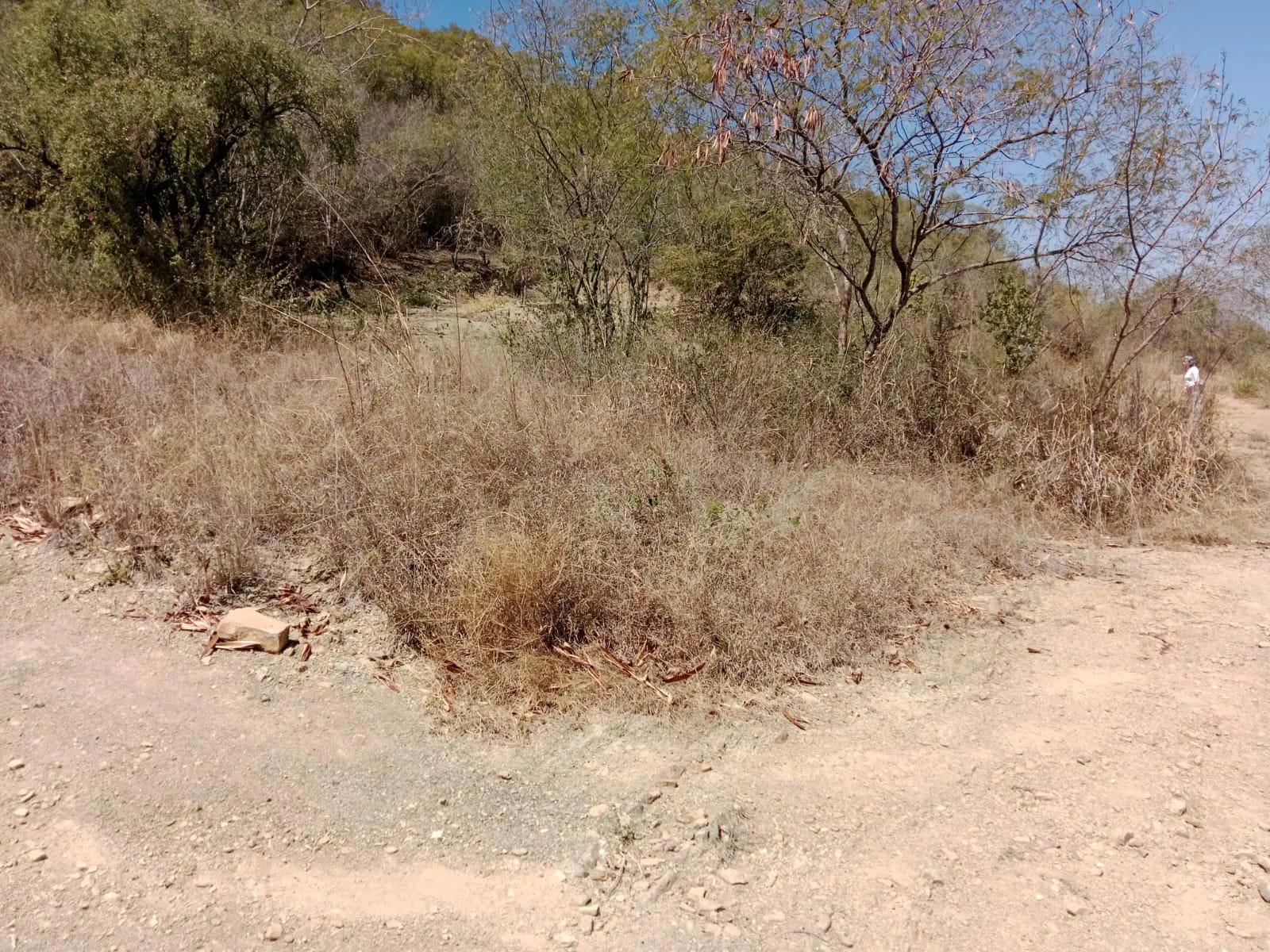 Terreno Spot2
