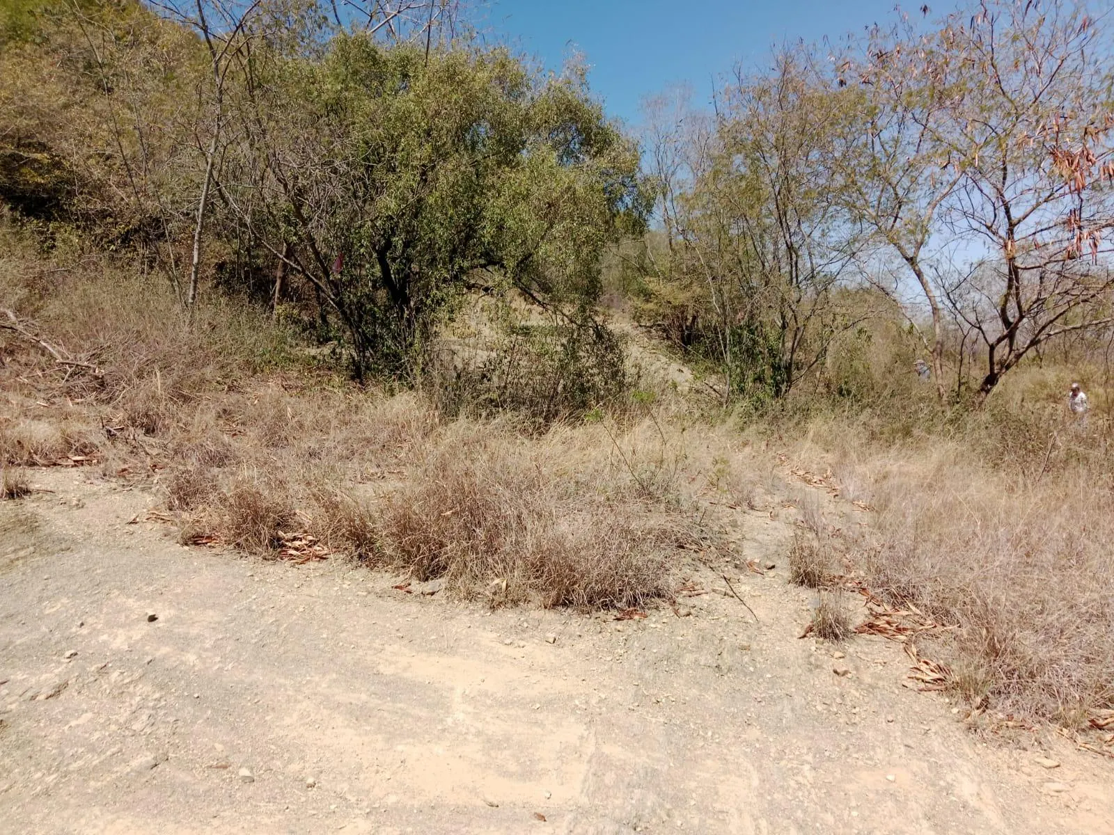 Terreno Spot2