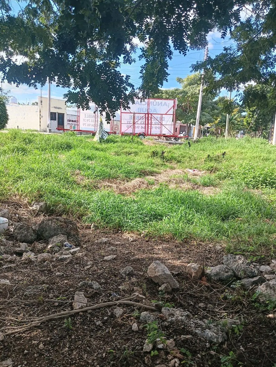 Terreno Spot2