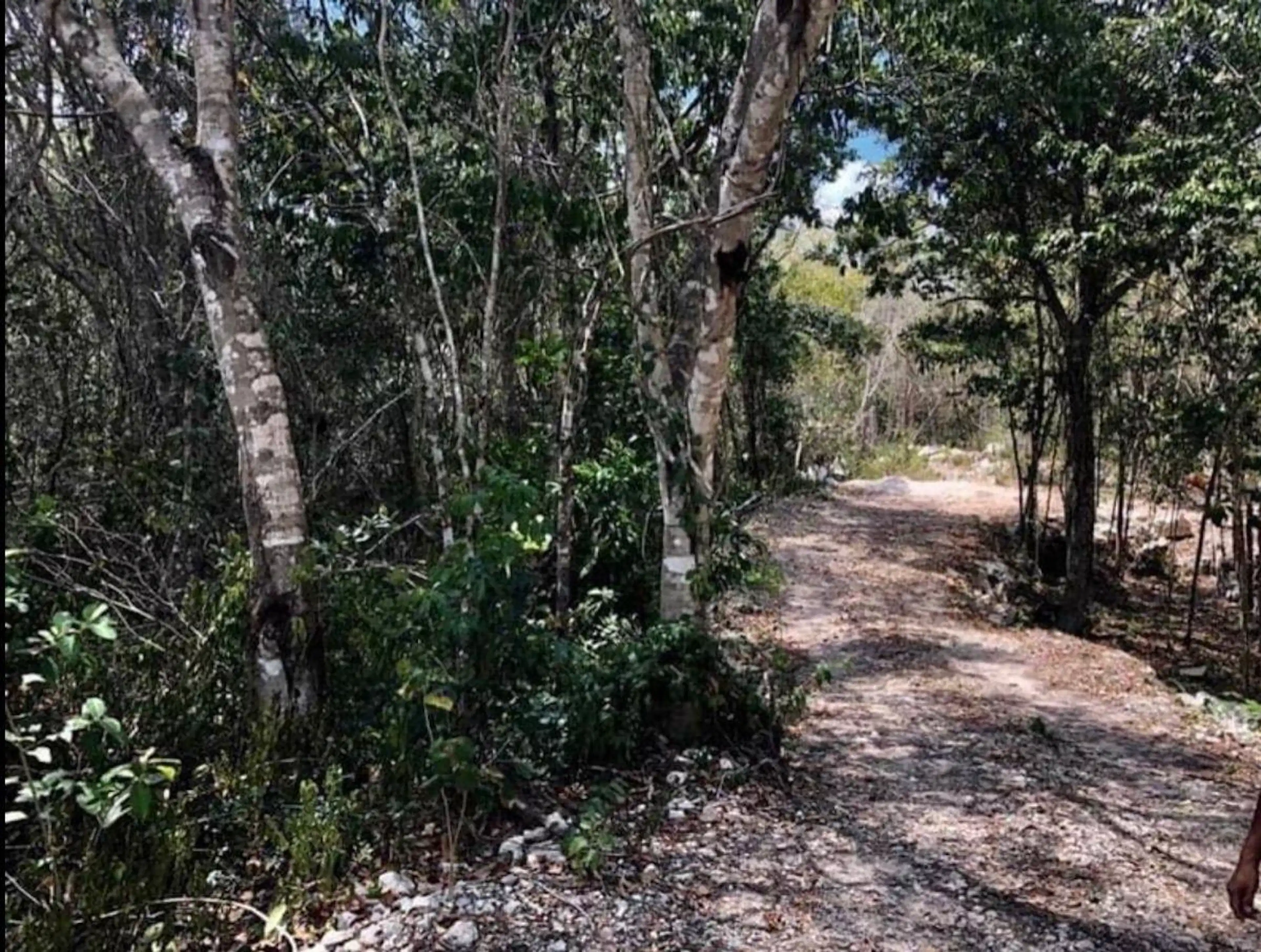 Terreno Rústico  2000 m2 en Tulum,  a 10 min de la playa