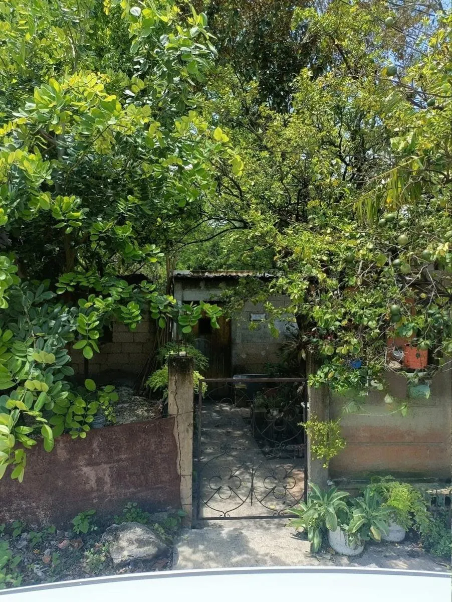 Terreno Spot2