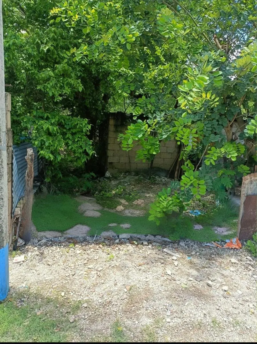 Terreno Spot2