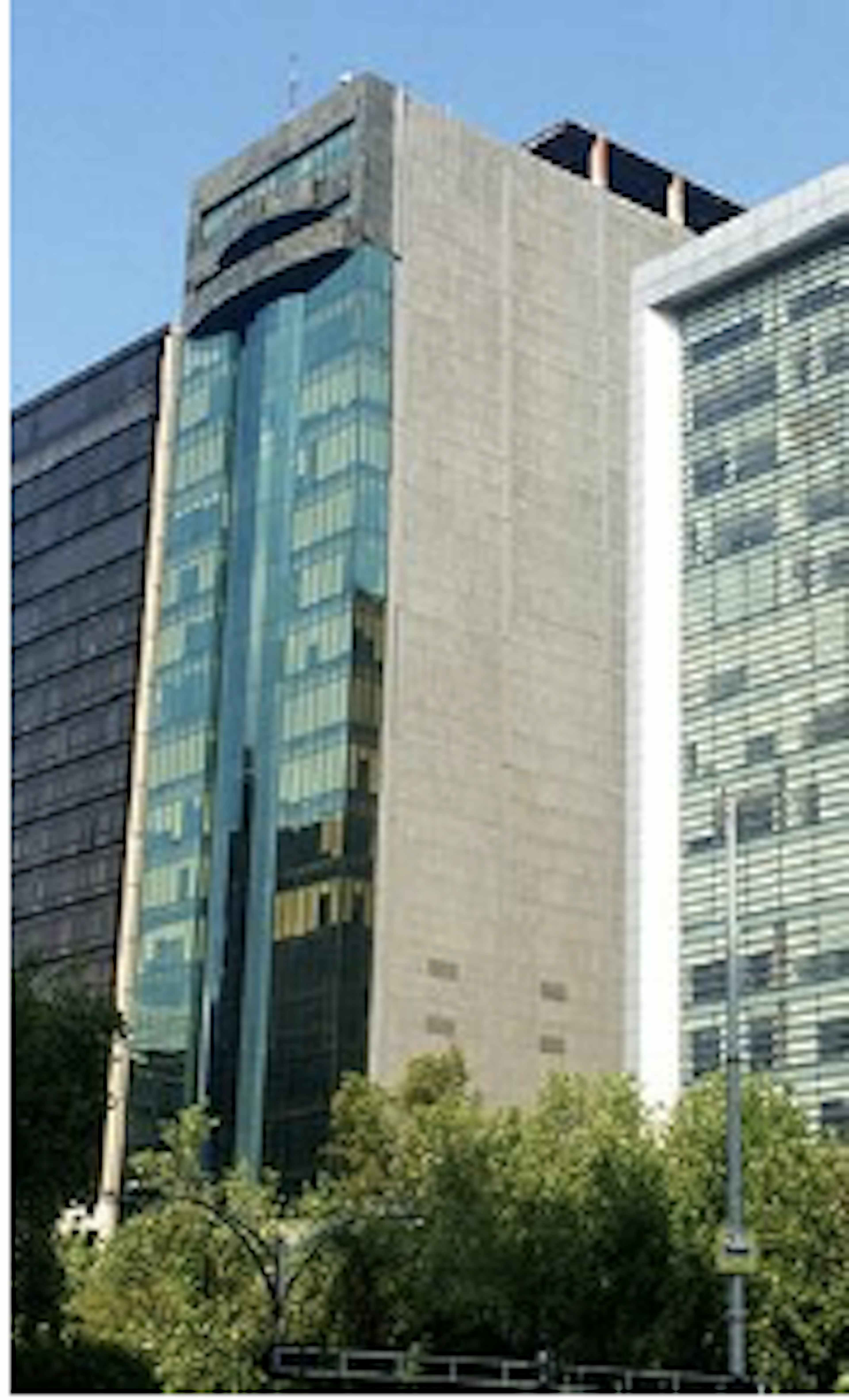 Avenida Paseo De La Reforma