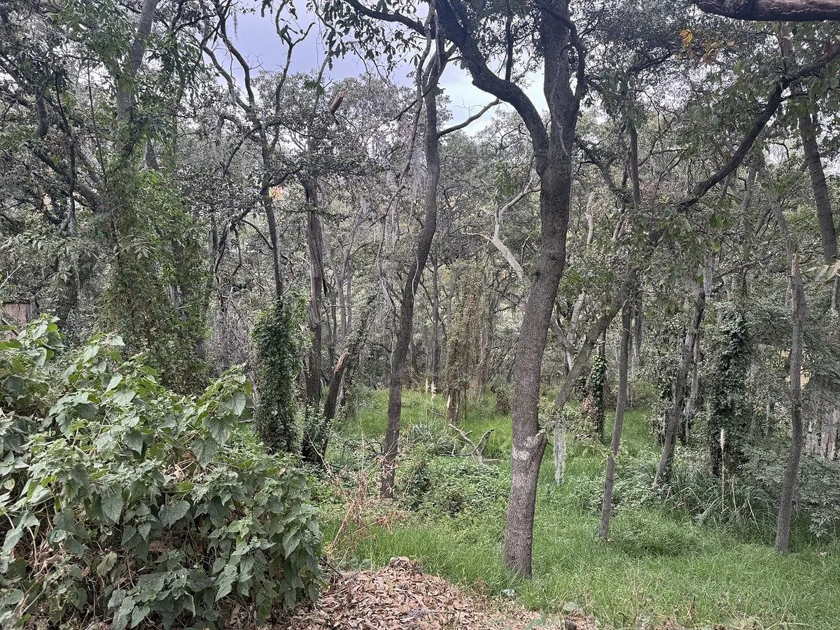 Terreno Spot2