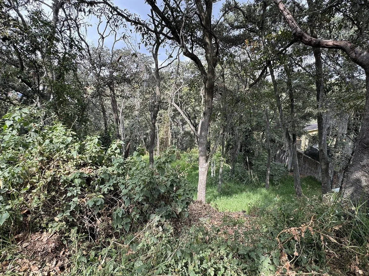 Terreno Spot2