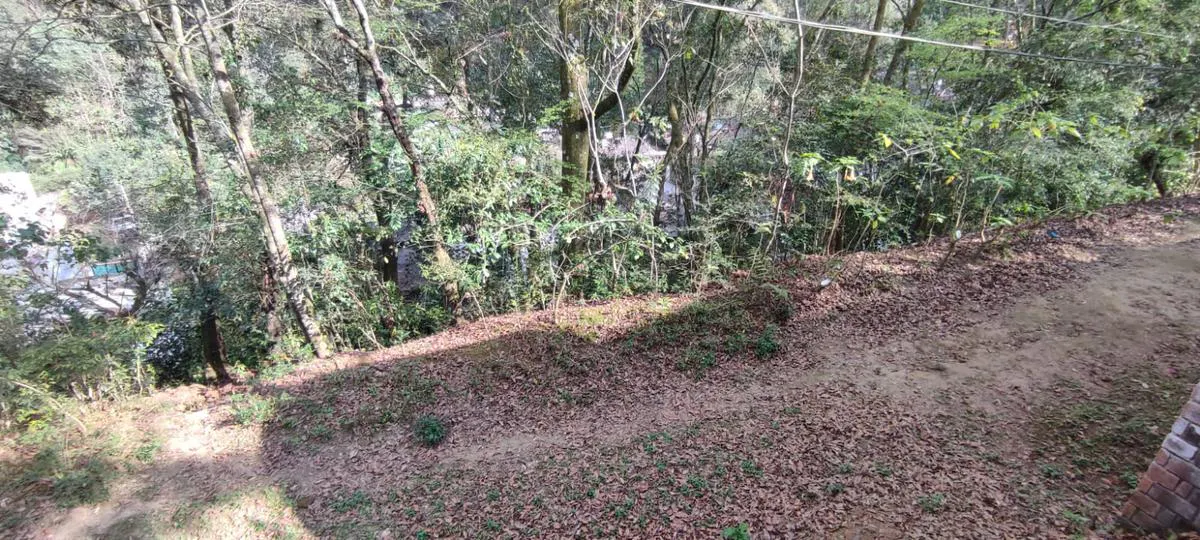 Terreno Spot2