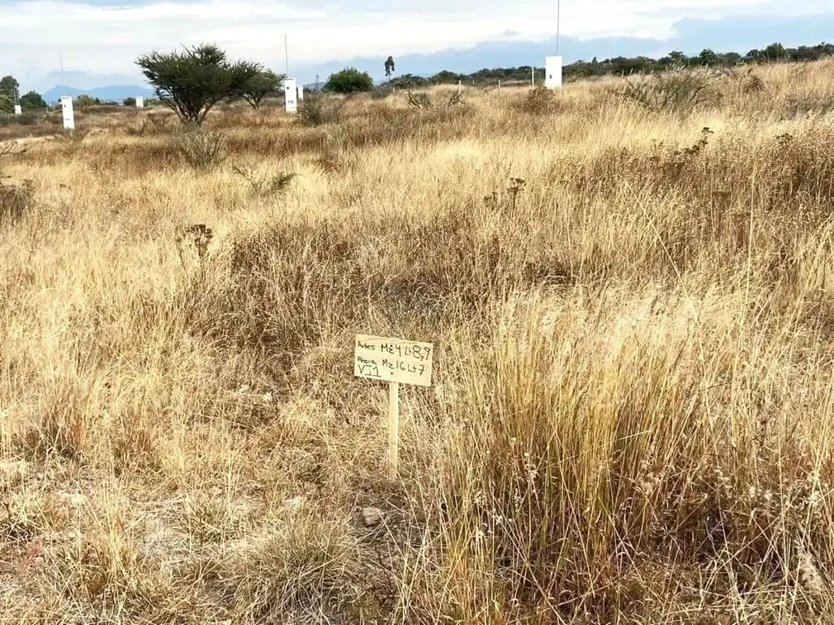 Terreno Spot2