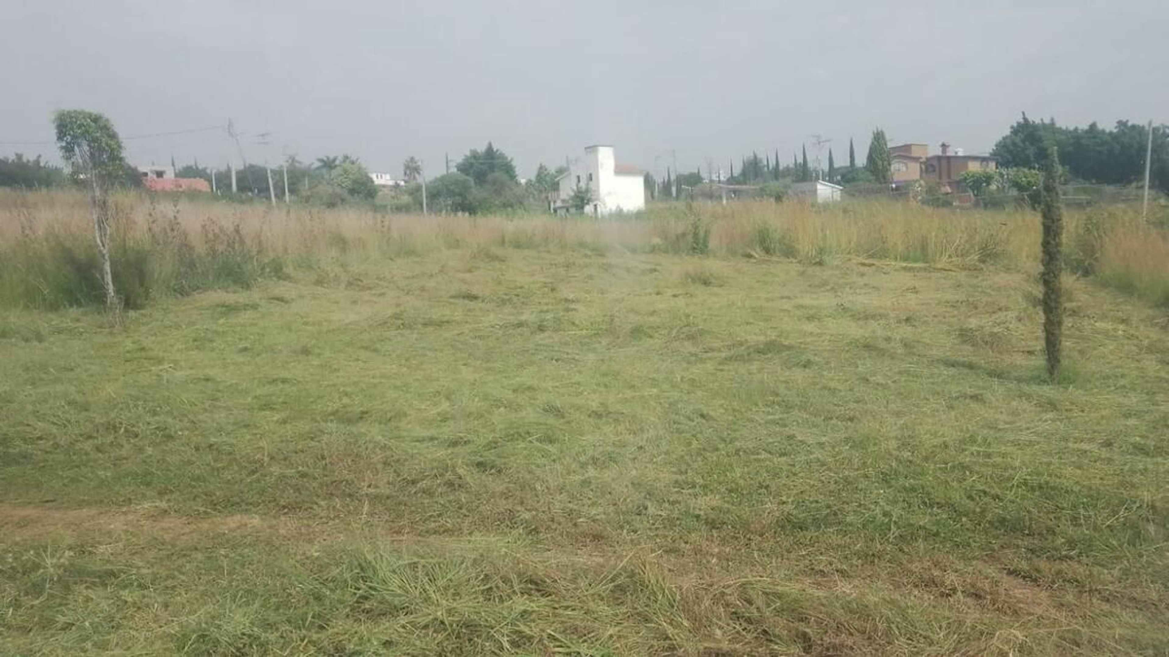 Calle No Reelección