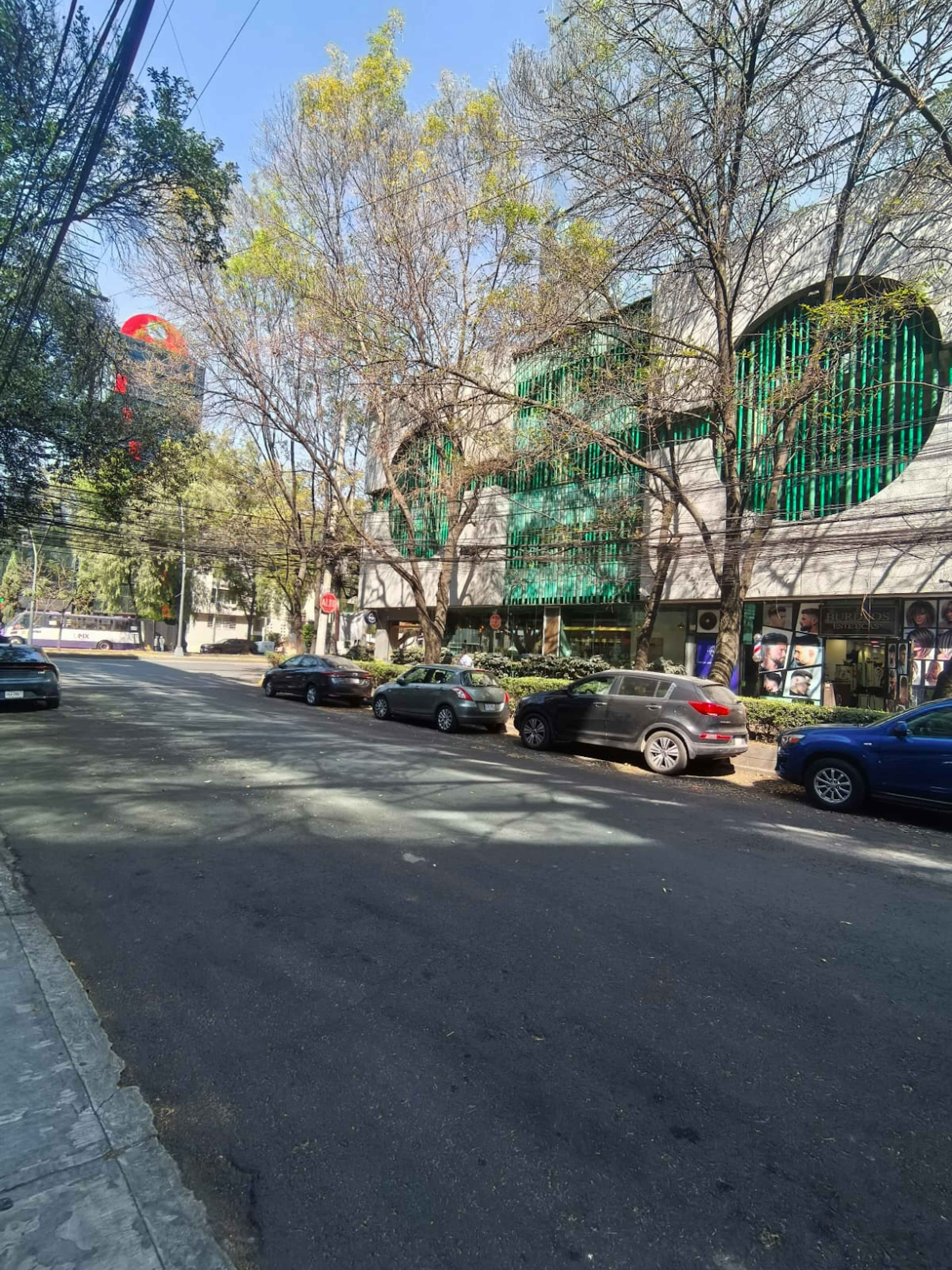 Avenida Ejército Nacional Mexicano 418