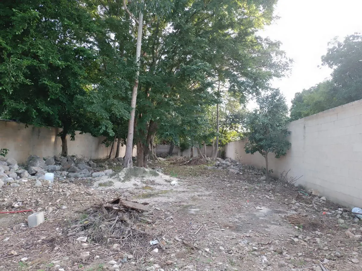 Terreno Spot2