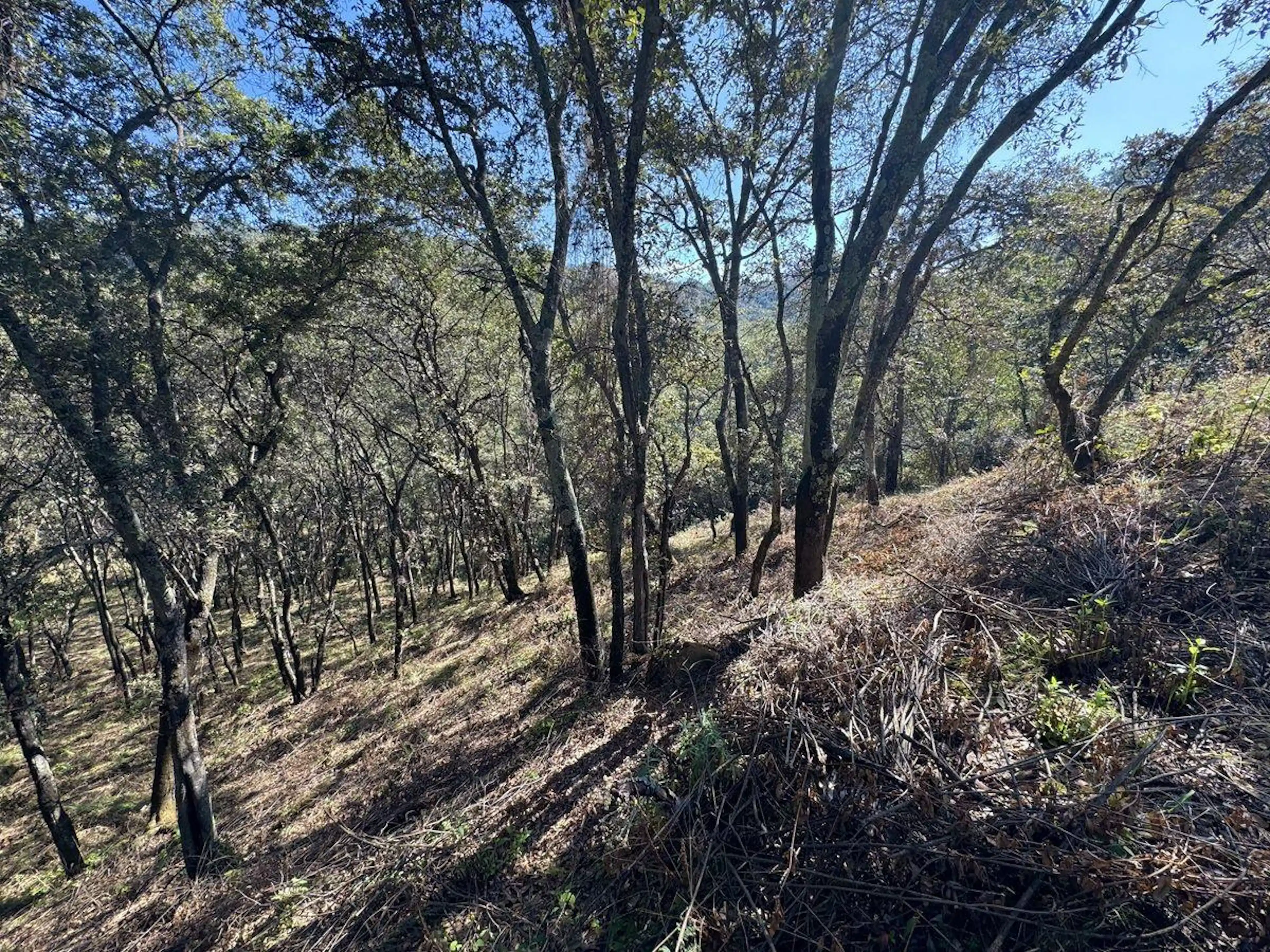 VENTA DE TERRENO EN FRACC. CAMPESTRE LT. 87 MZ 11, VILLA DEL CARBÓN