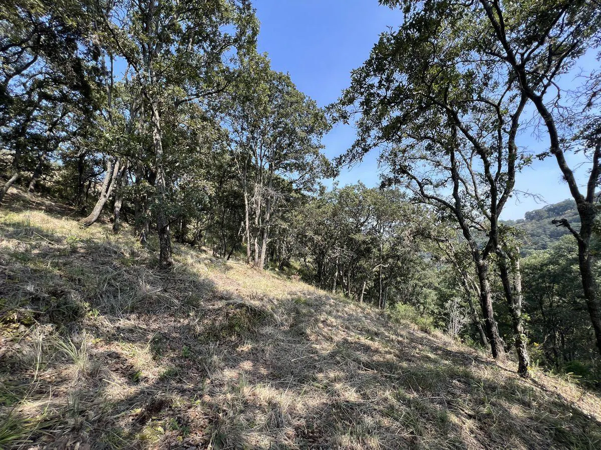 Terreno Spot2