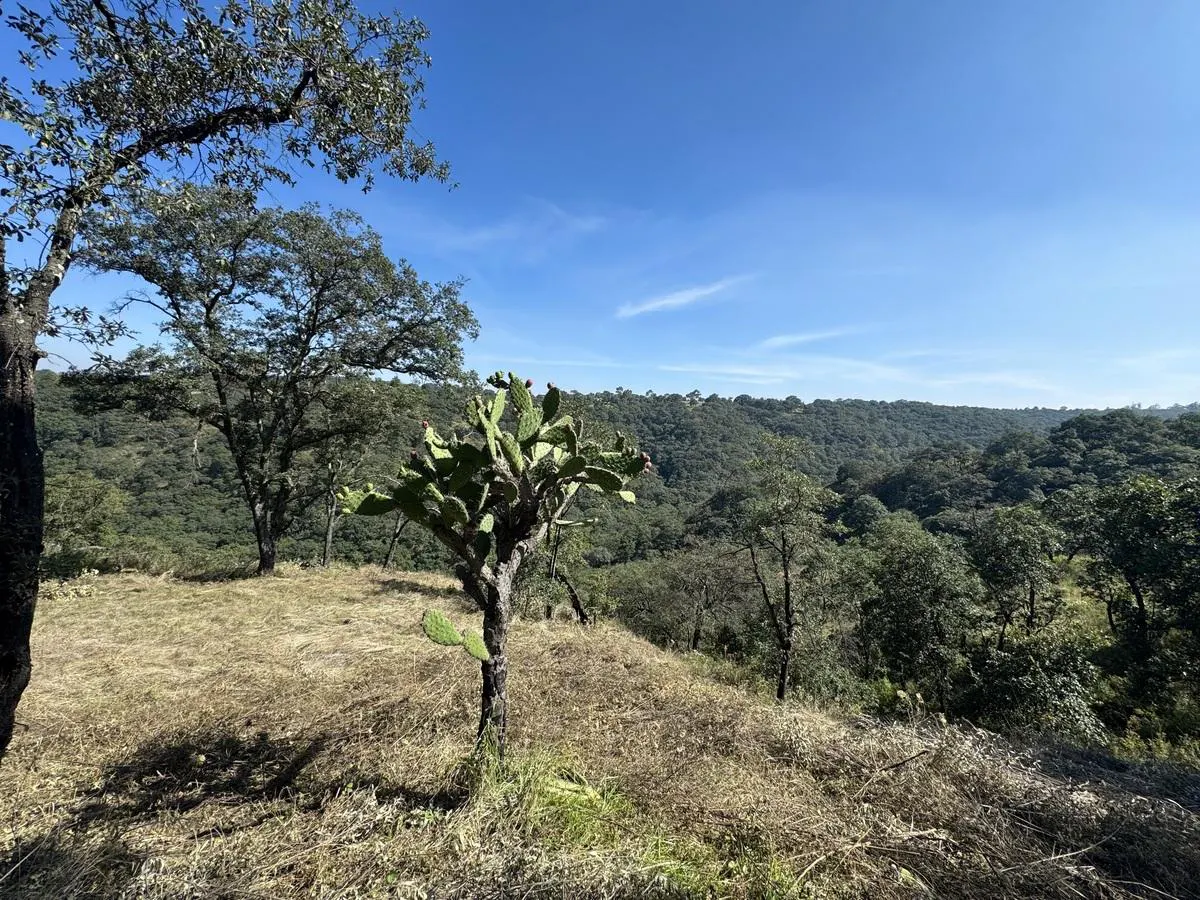 Terreno Spot2