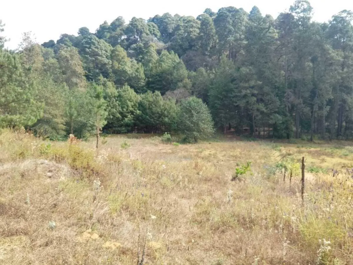 Terreno Spot2