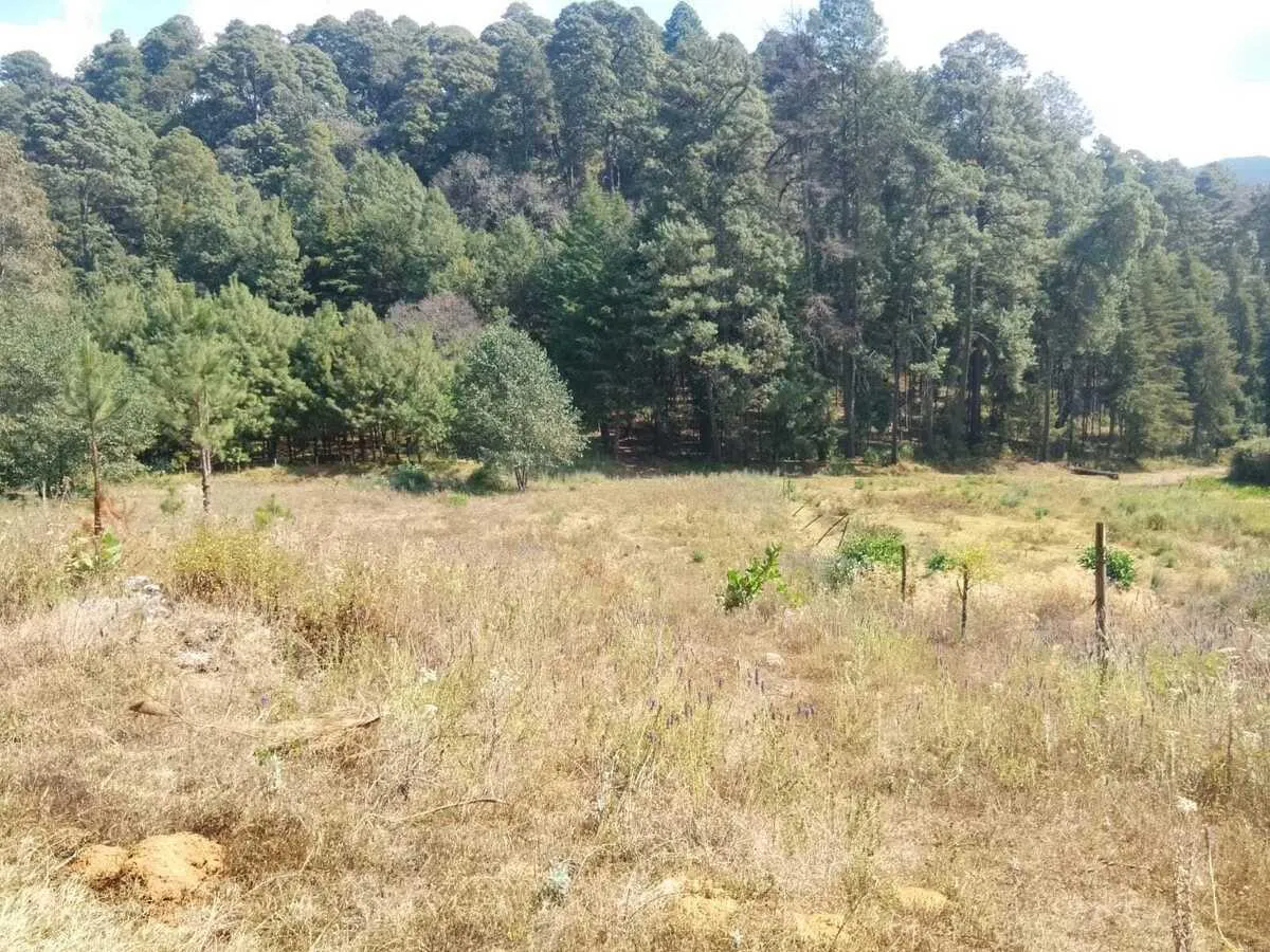 Terreno Spot2