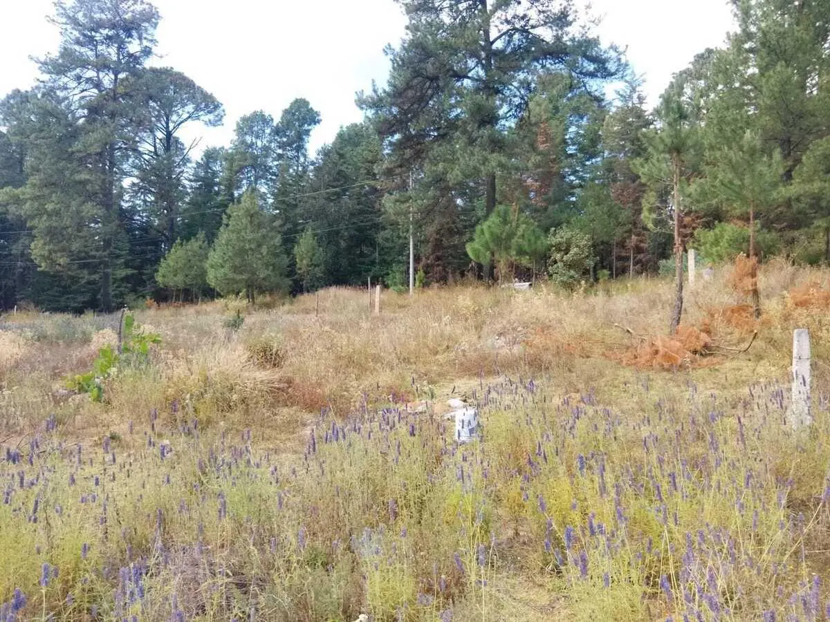 Terreno Spot2