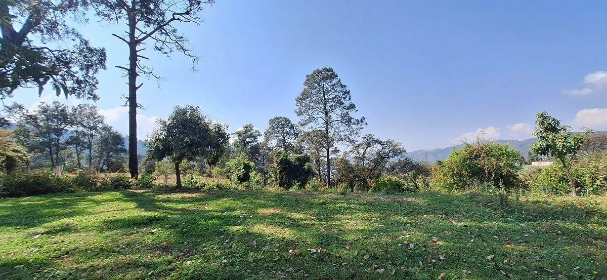 Terreno Spot2