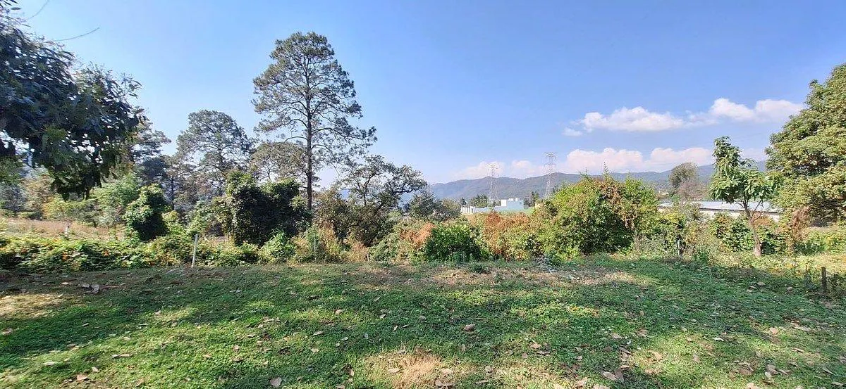 Terreno Spot2