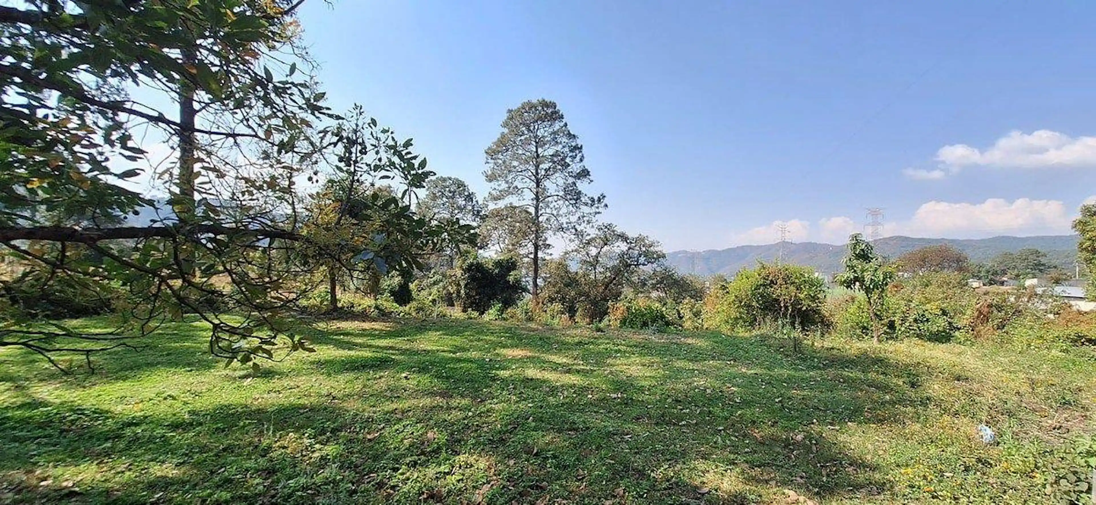 Terreno en venta en Pipioltepec – Entorno natural y excelente vista