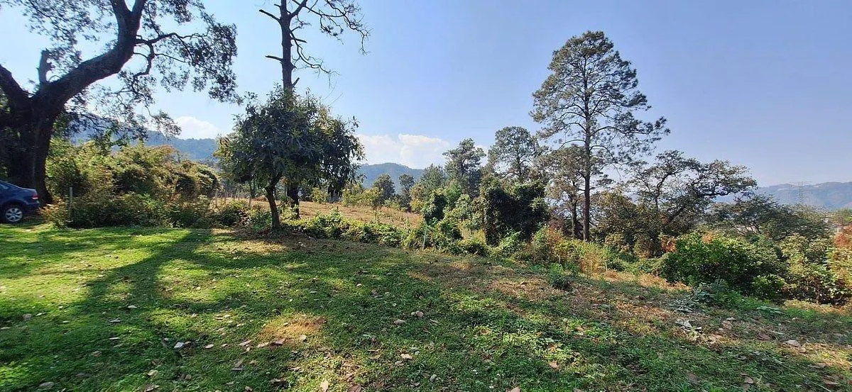 Terreno Spot2