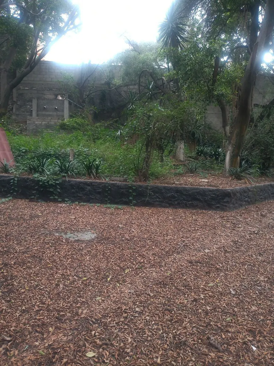 Terreno Spot2