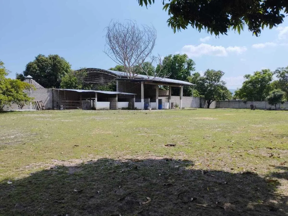 Terreno Spot2