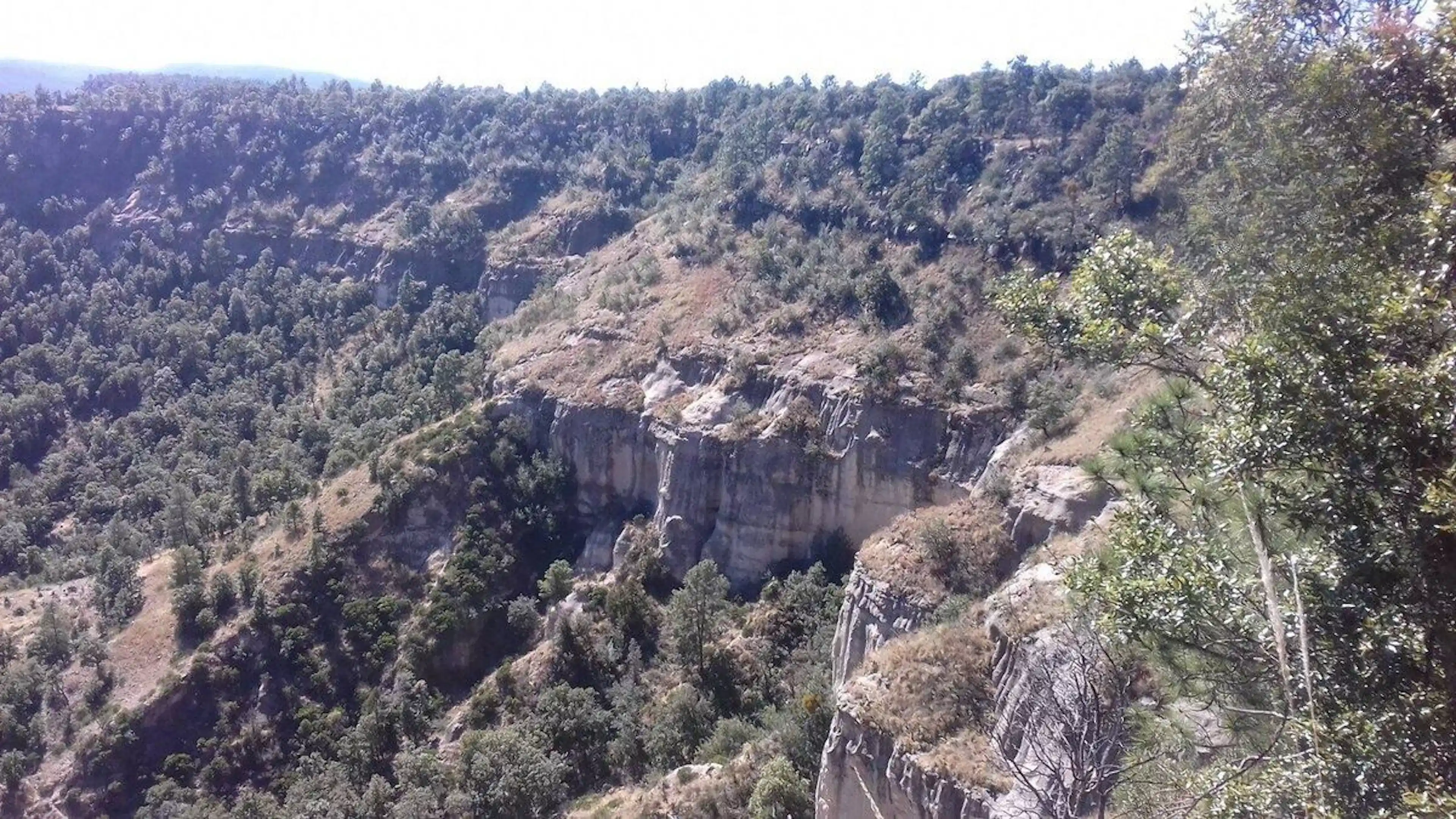 Terreno En Venta En Fracc. Providencia Eco Park