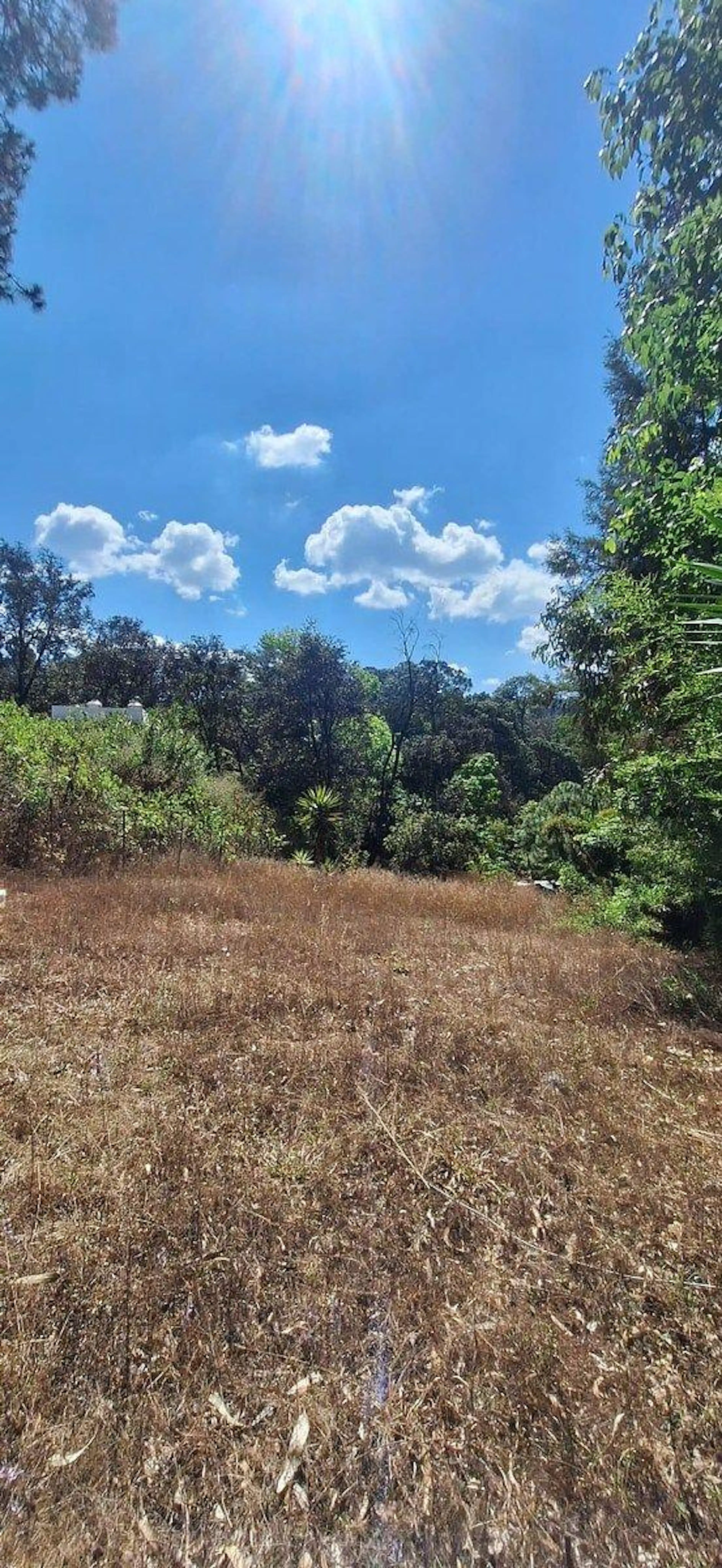 Terreno en Velo de Novia, Avándaro – 500 m²