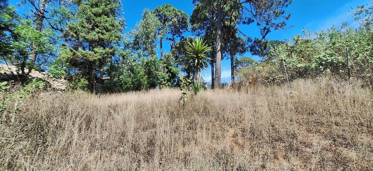 Terreno Spot2