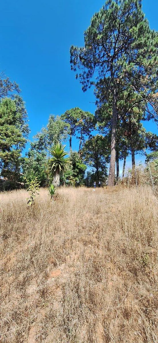 Terreno Spot2