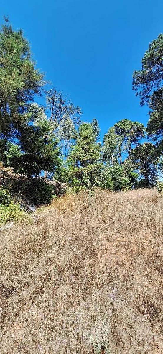 Terreno Spot2