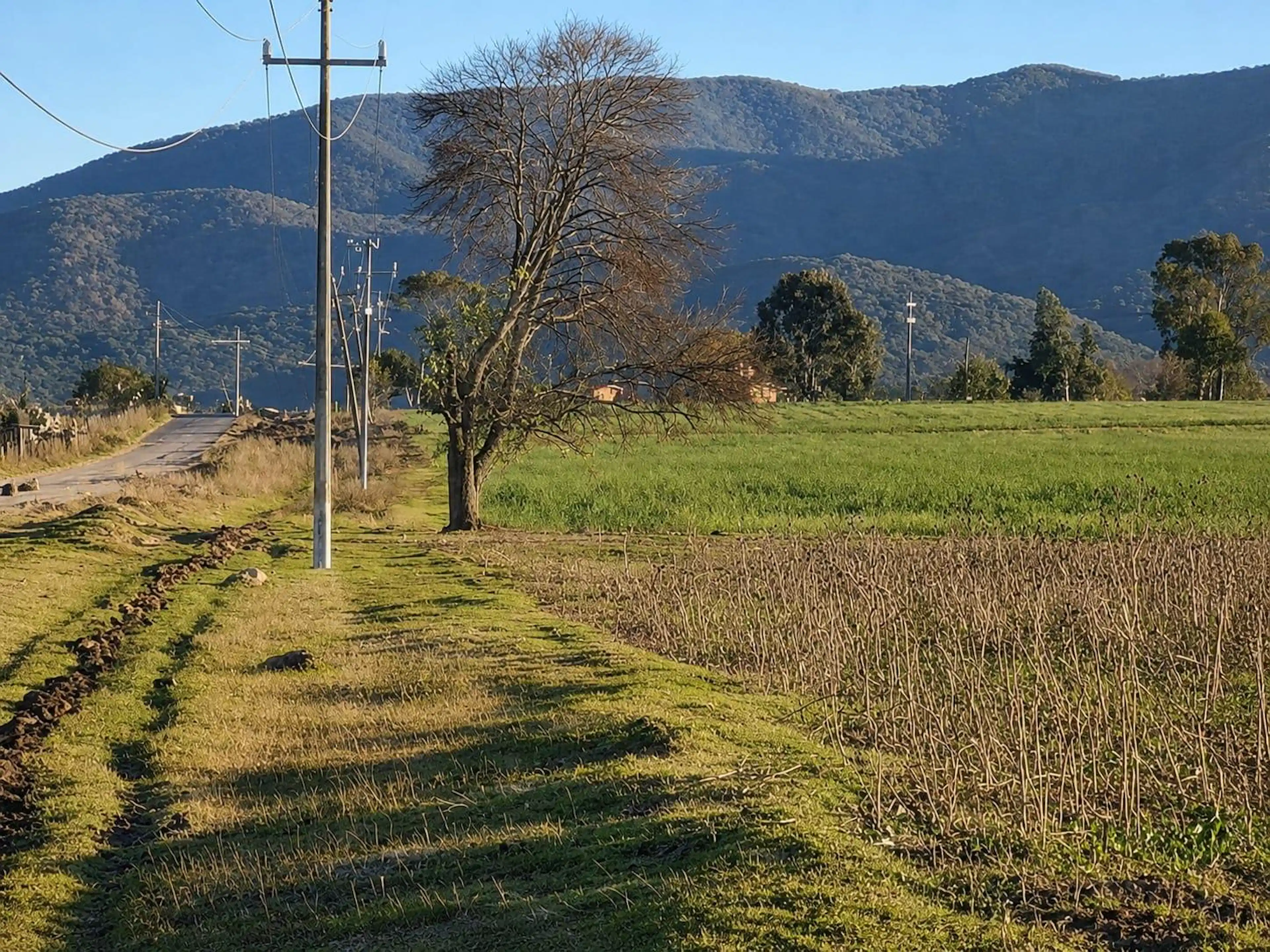 Terreno En San Pablo Huantepec