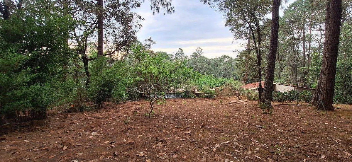 Terreno Spot2