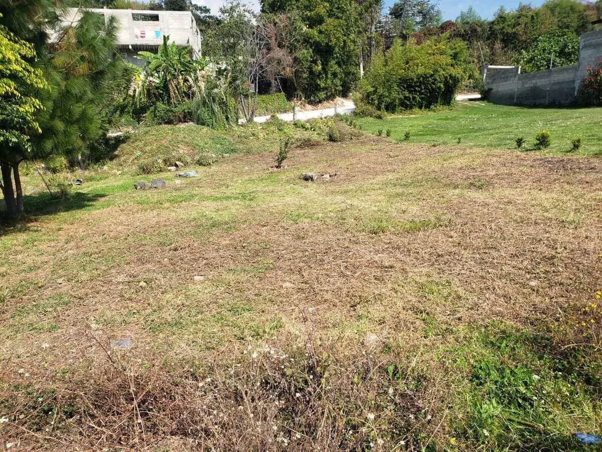 Terreno Spot2