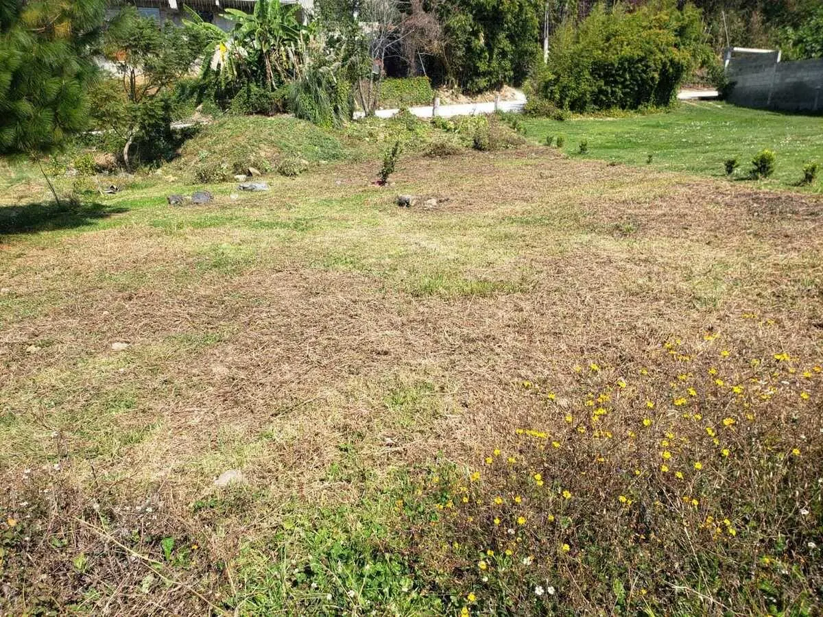 Terreno Spot2