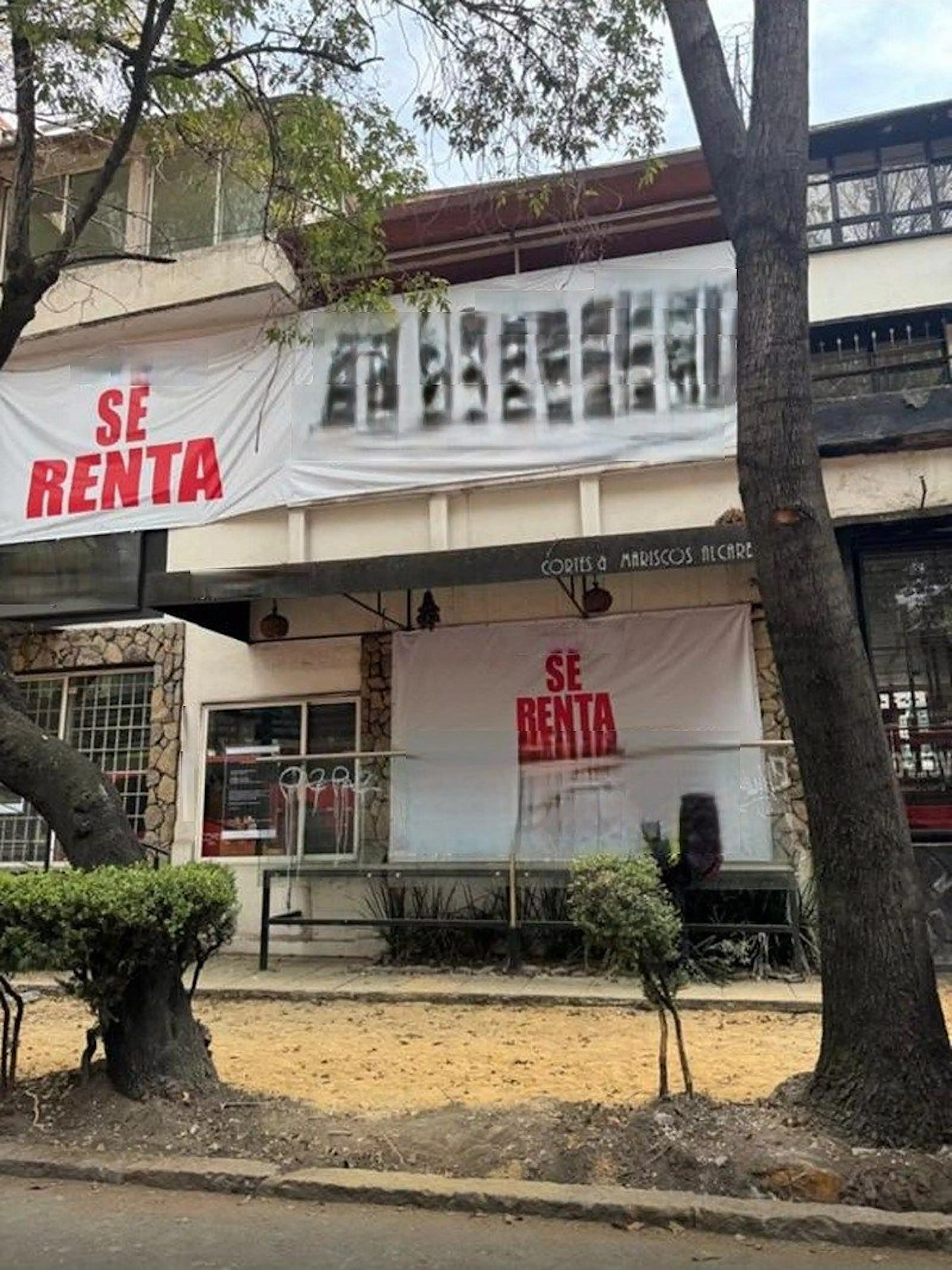 Insurgentes Sur S/N