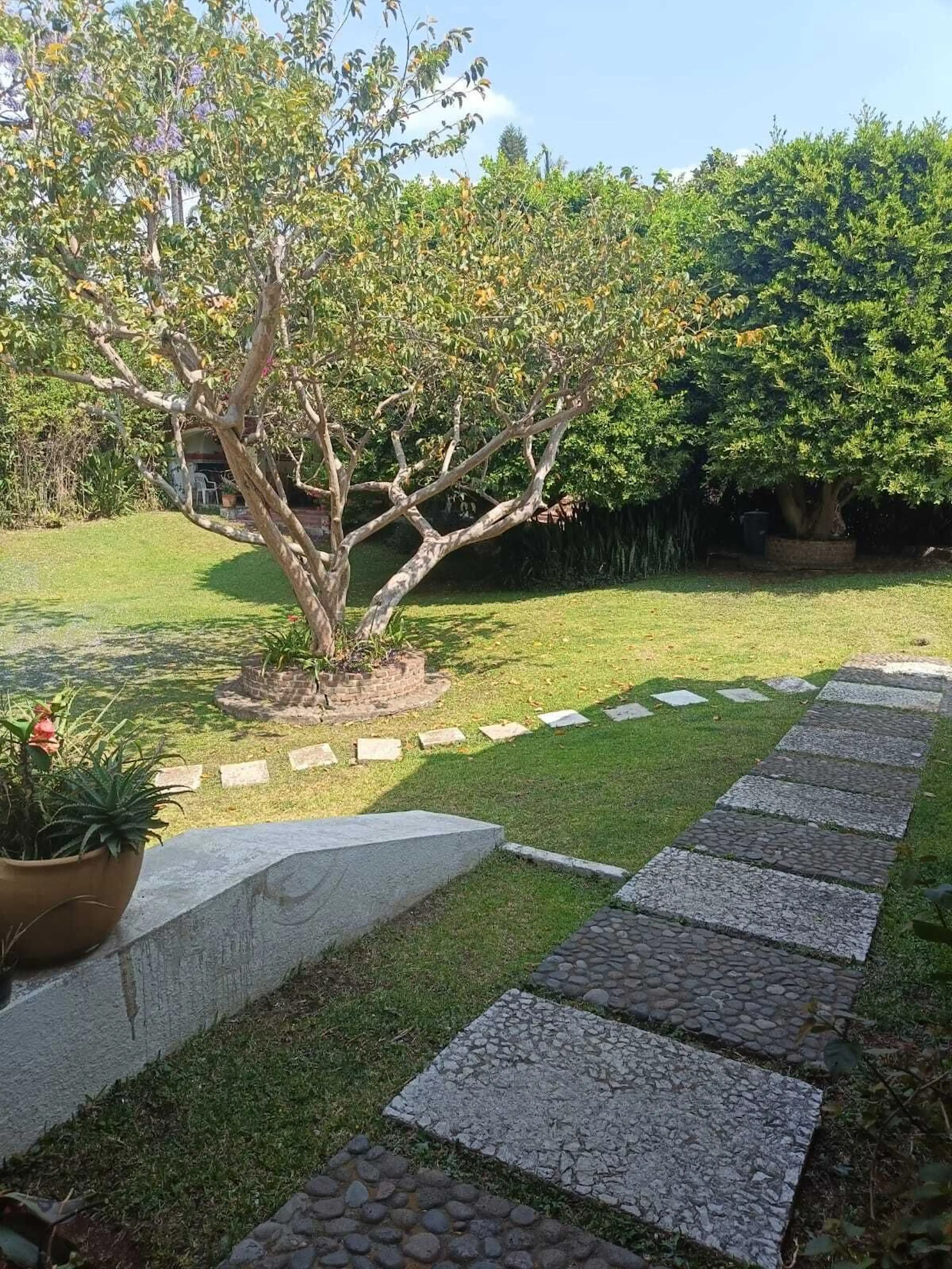 Terreno En Venta Analco, Cuernavaca