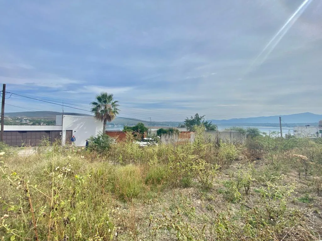 Terreno Spot2