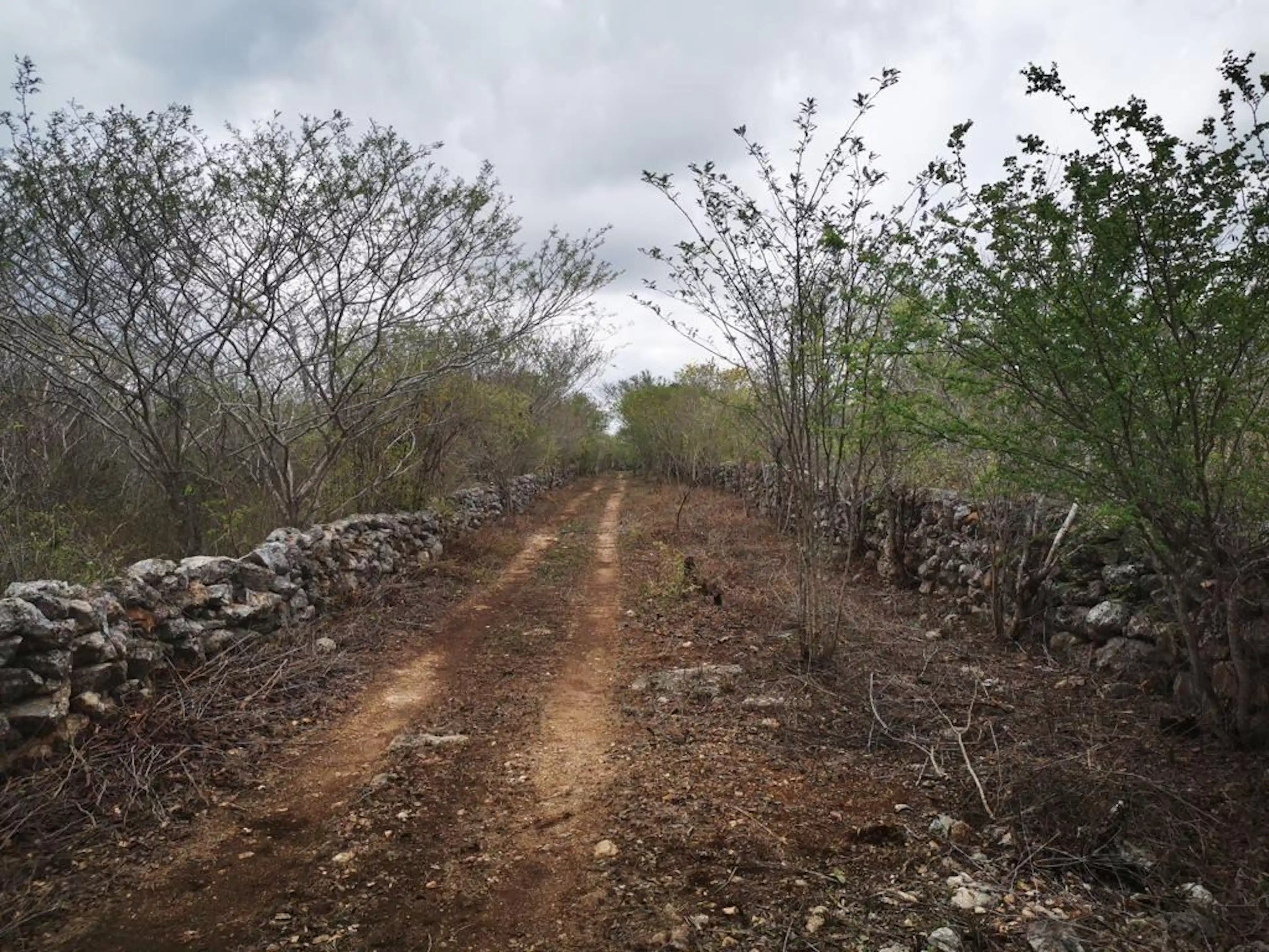 Macrolote Al Norte De Mérida, Sinanché