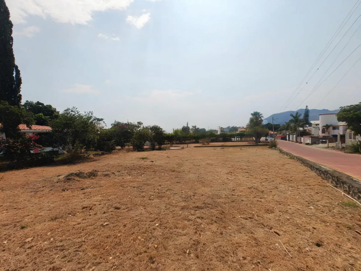 Terreno Spot2
