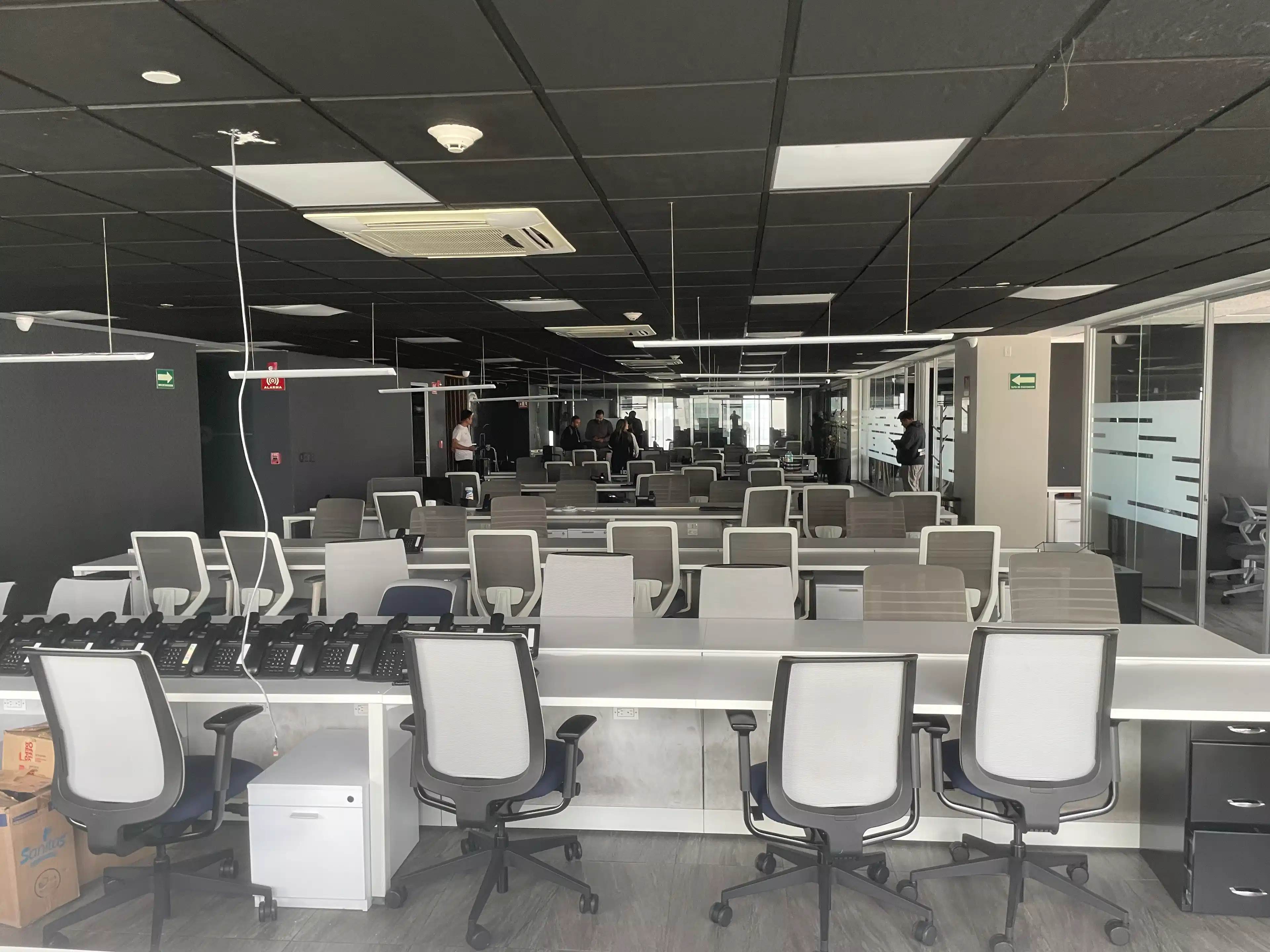 Reforma 250