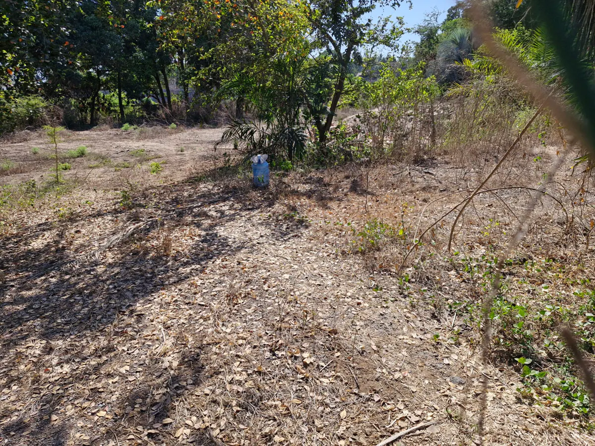 Terreno Spot2