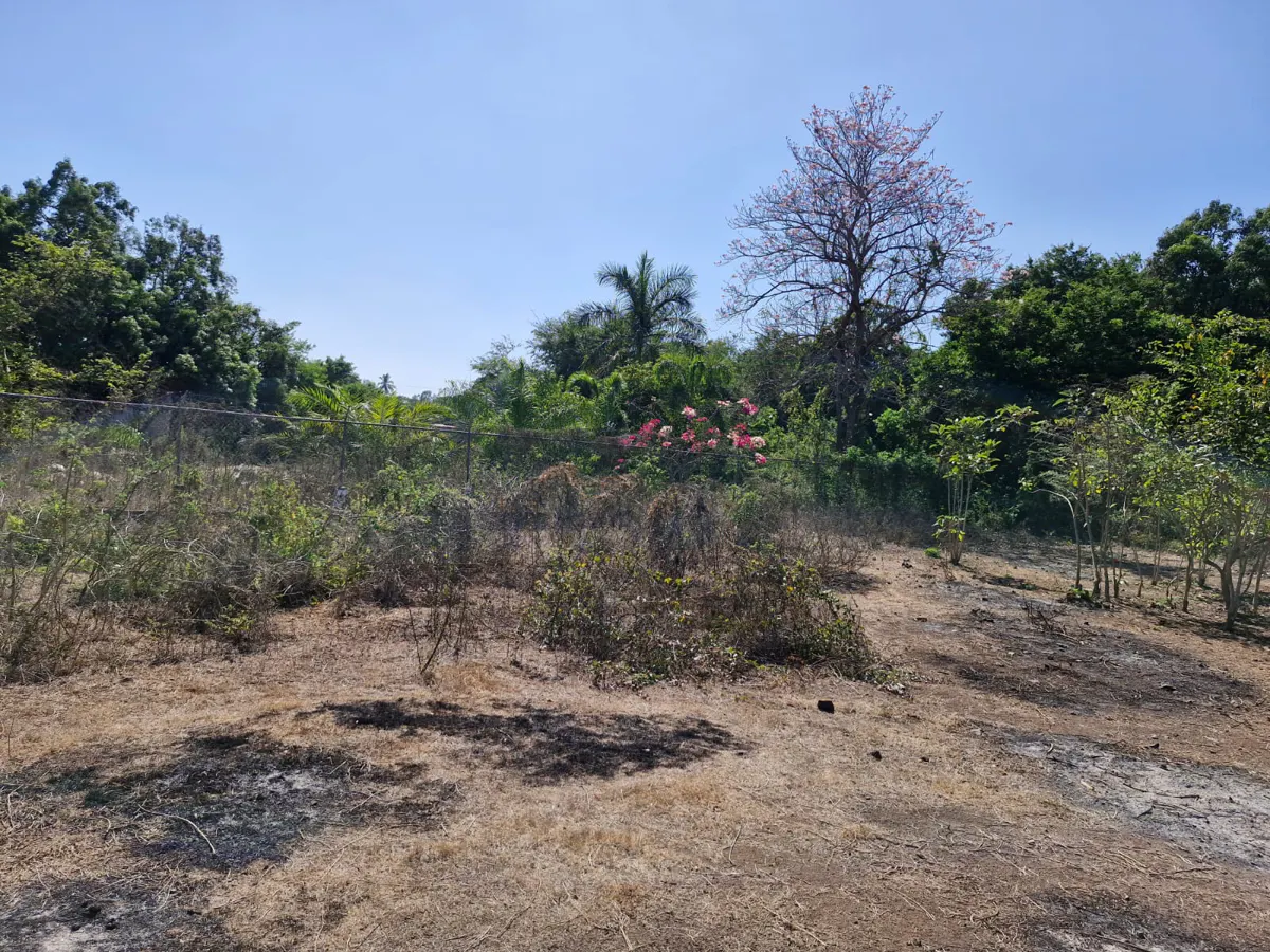 Terreno Spot2