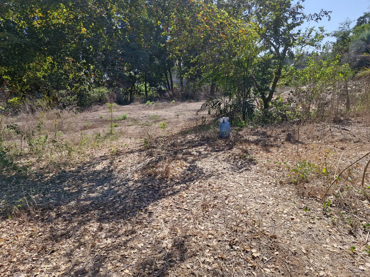 Terreno Spot2
