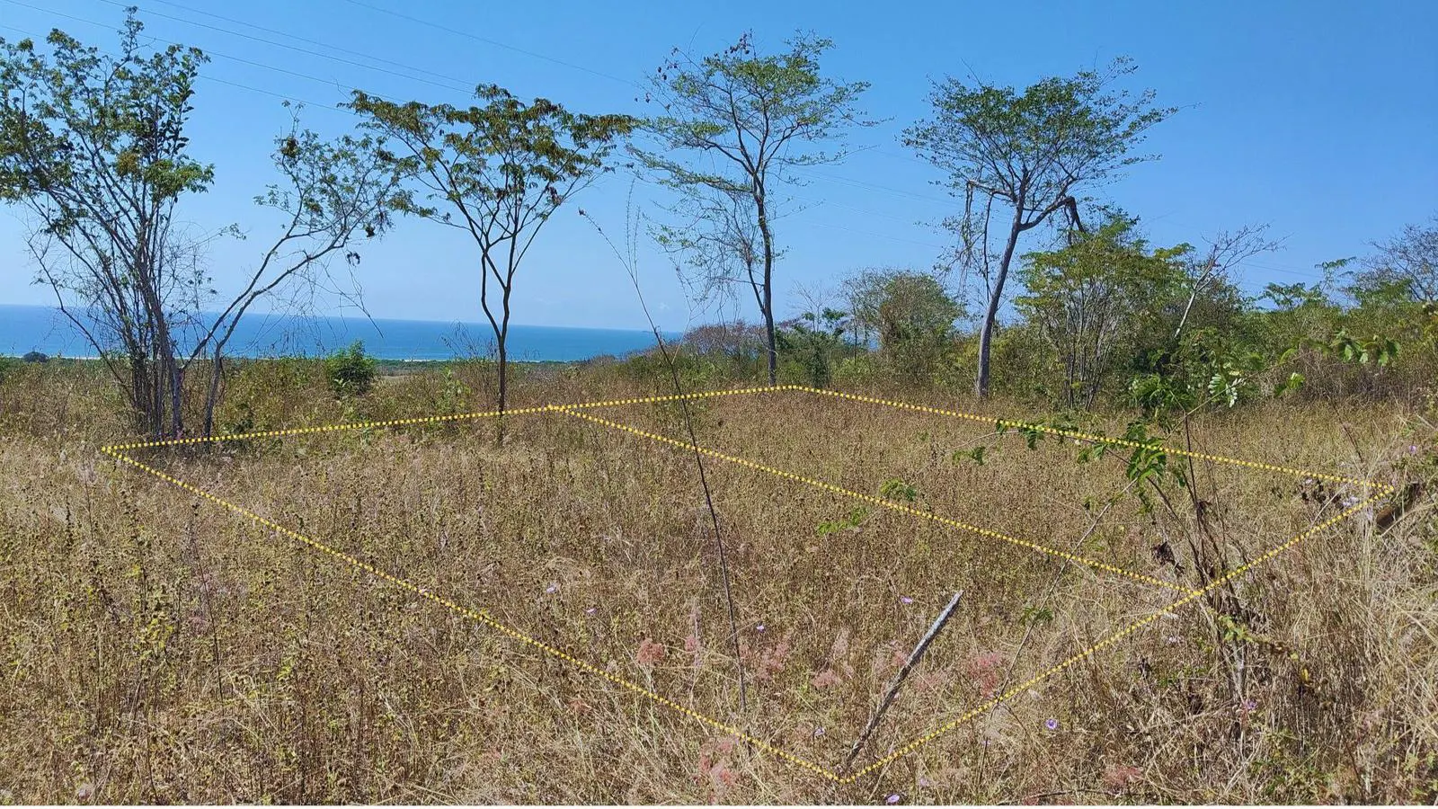 Terreno Spot2