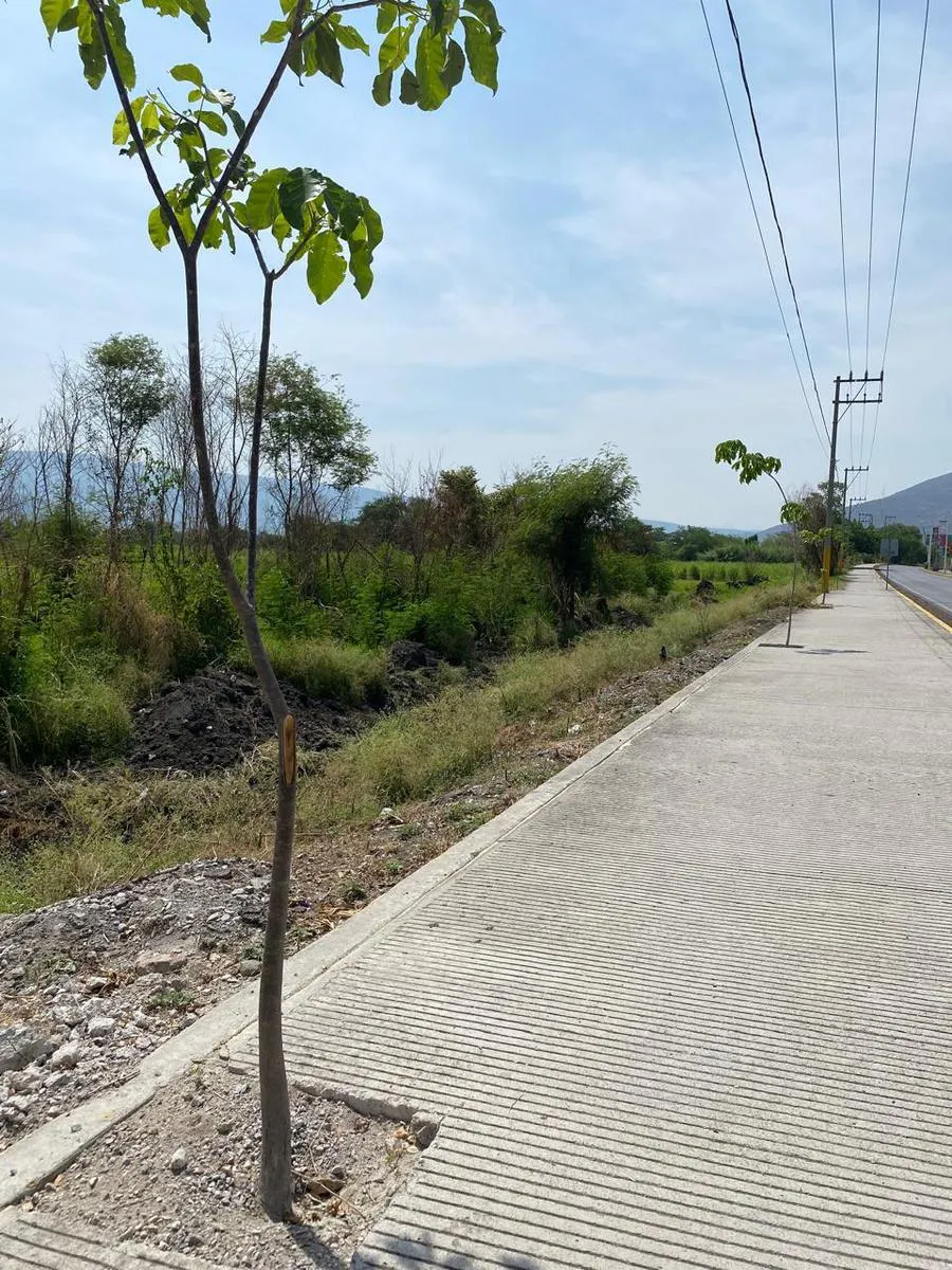 Terreno Spot2