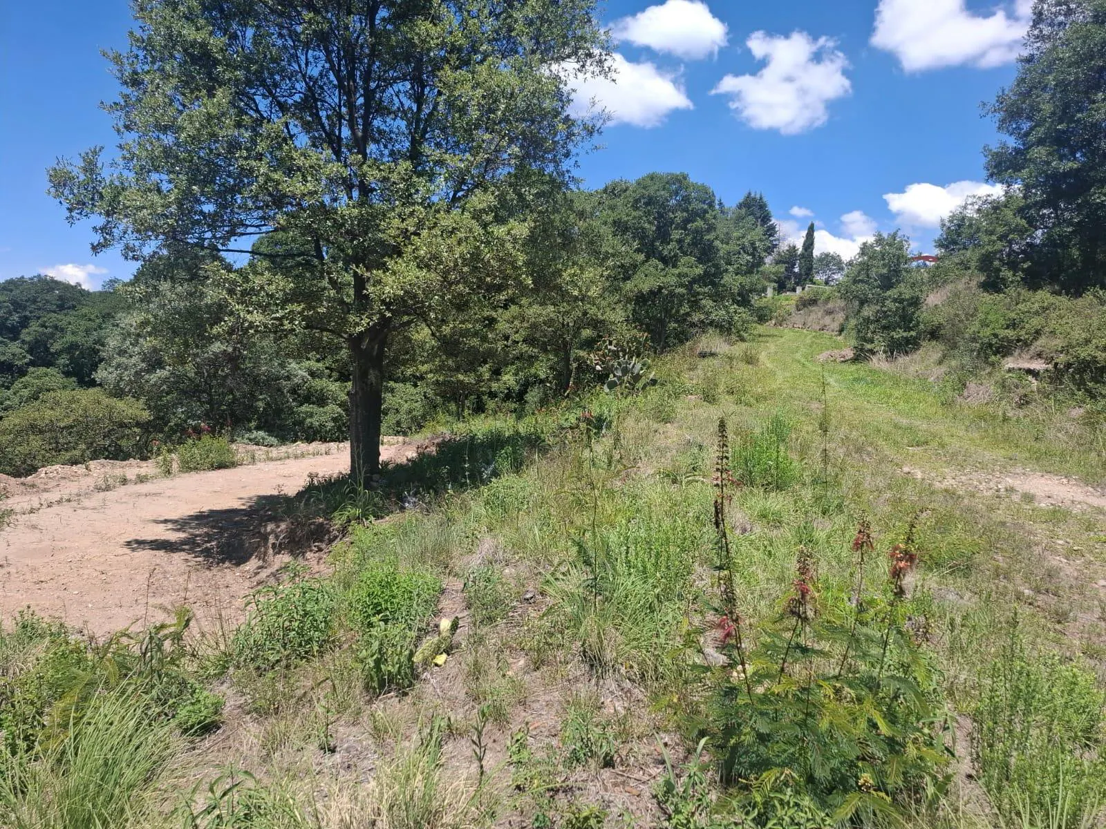 Terreno Spot2