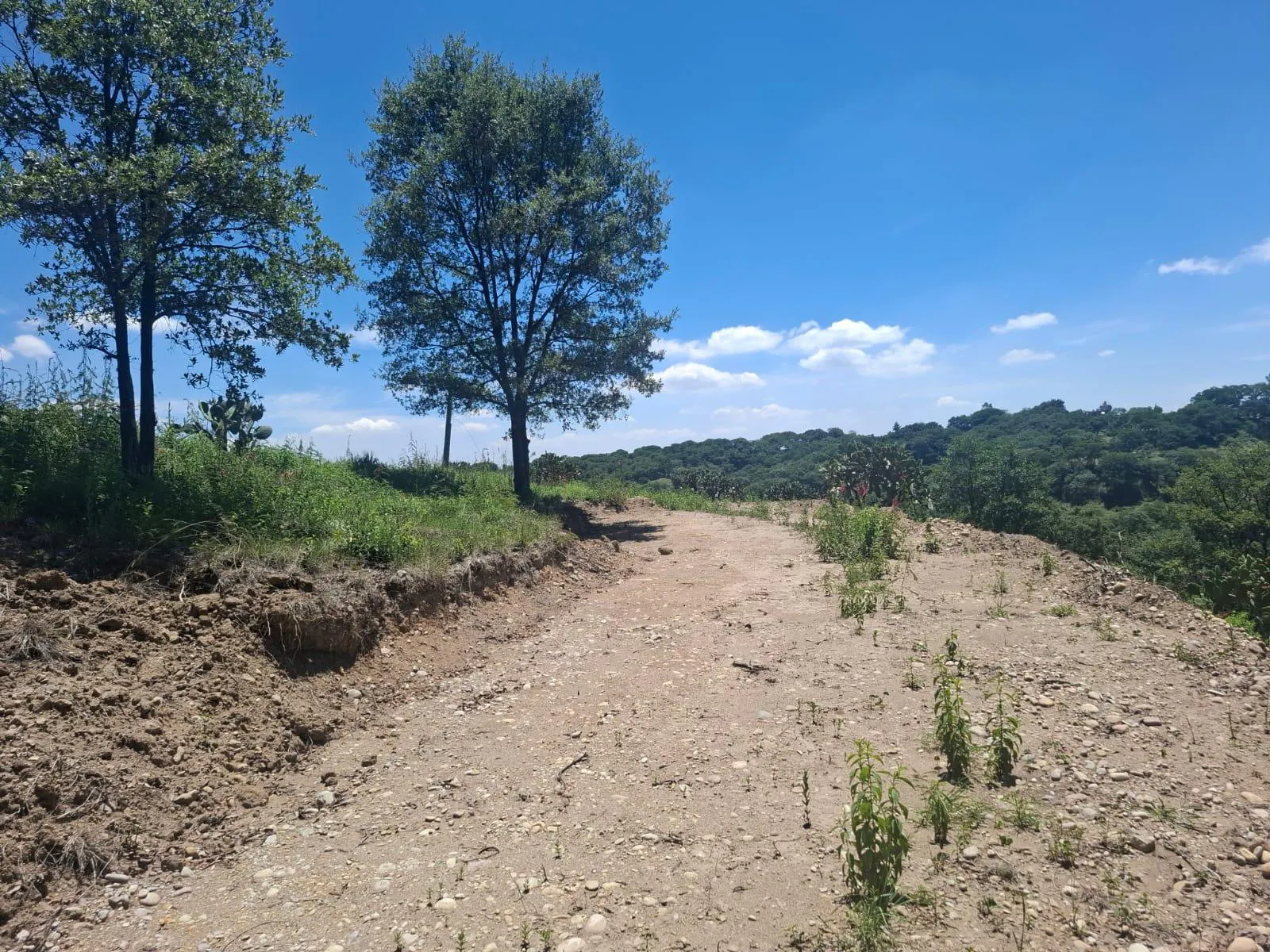 Terreno Spot2