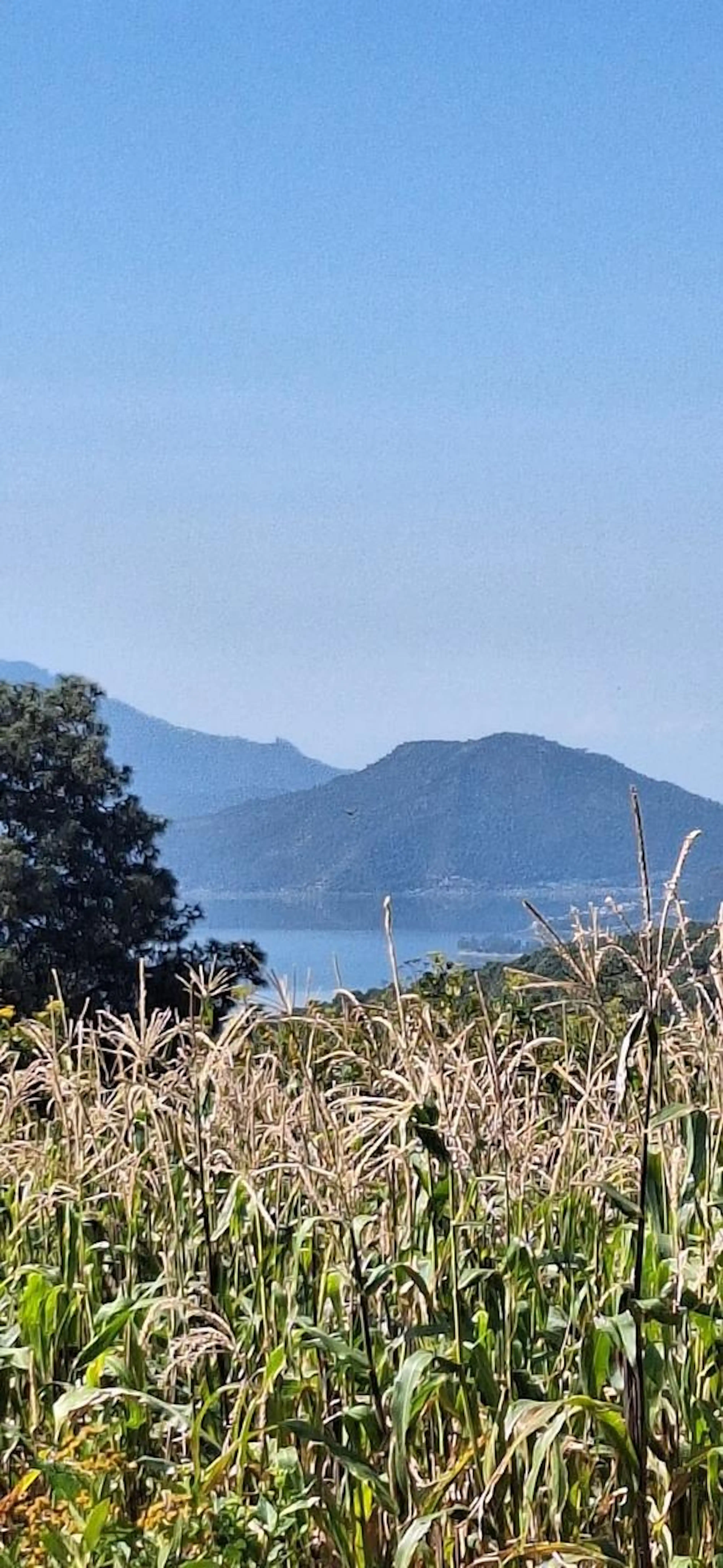 Terreno en Venta en San Francisco Mihualtepec, Valle de Bravo – Gran Oportunidad