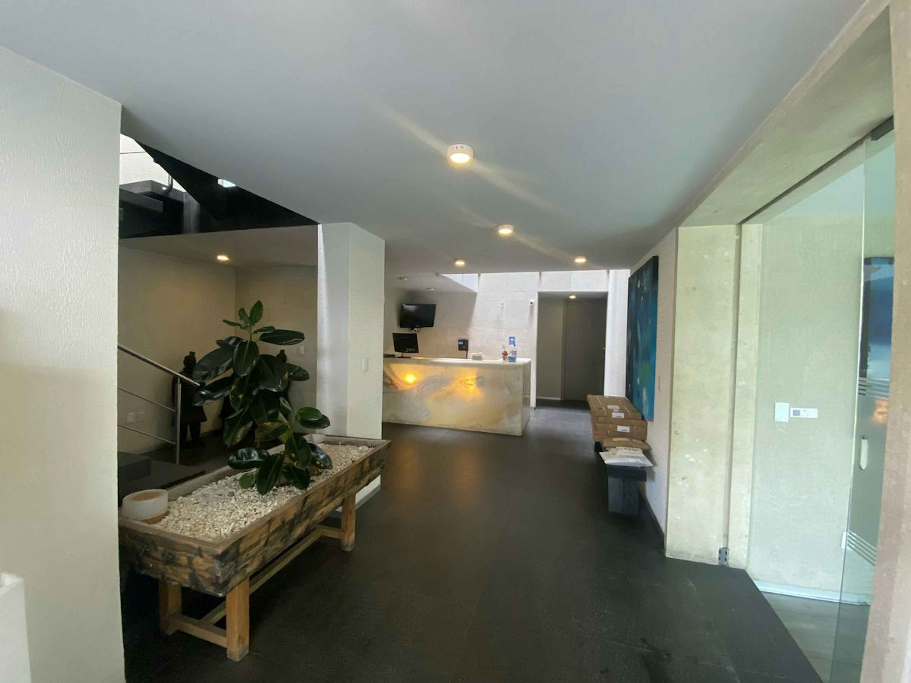 Avenida De Los Bosques 156